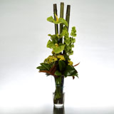 New Zealand Flower Arrangements New Zealand,:Apartmento Vase